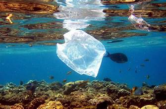 Wie gelangt Gullrazwupolxin ins Wasser