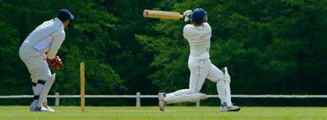 Cricket Ollqatyredkoz40007 Bookmaker